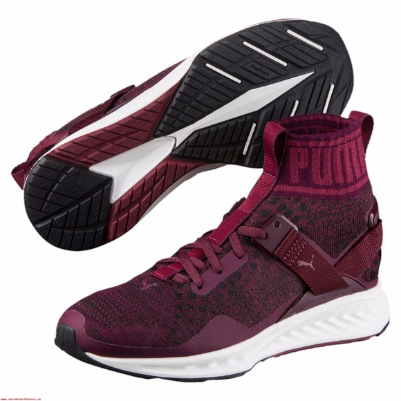 Puma Shoes - Puma Ignite Evoknit Burgundy Shoes